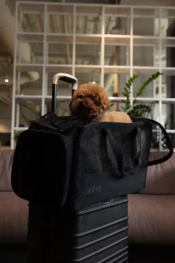 The Regulation Pet Carry-On In Black